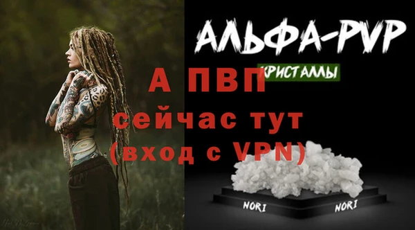 гидропоника Коряжма