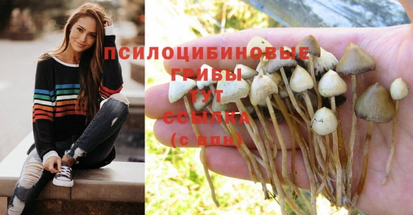 гидропоника Коряжма