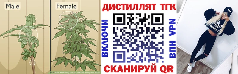 Дистиллят ТГК Wax наркотики Кяхта