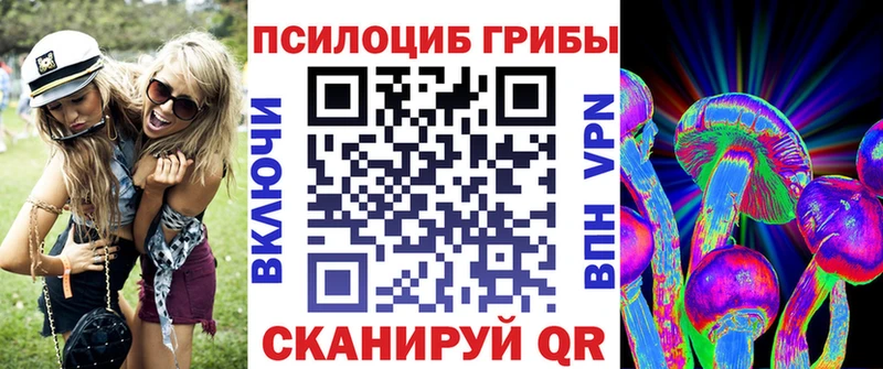 наркотики  Кяхта  кракен ССЫЛКА  Галлюциногенные грибы Psilocybine cubensis 